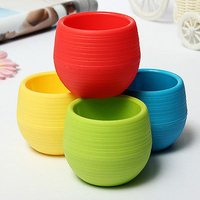 Colorful Succulent Pot