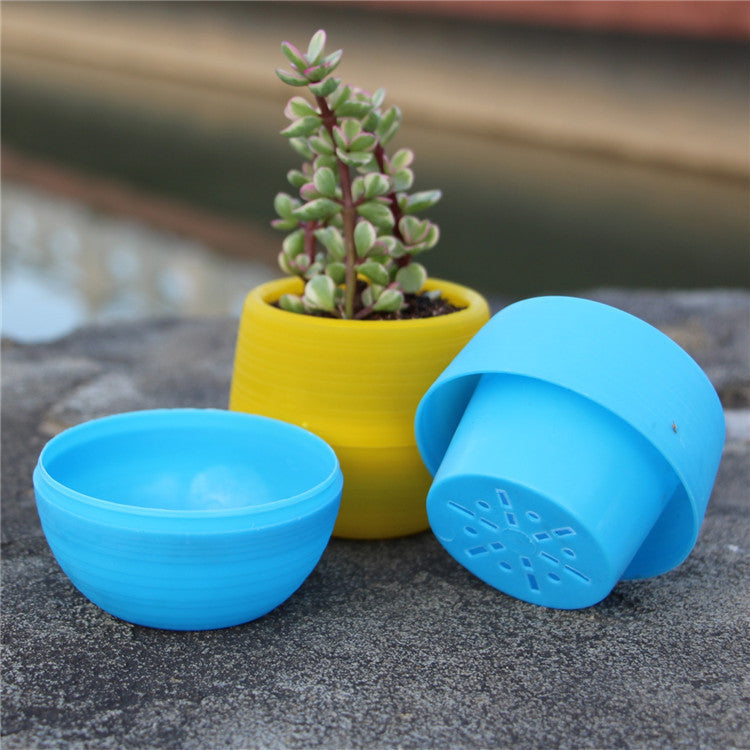 Colorful Succulent Pot
