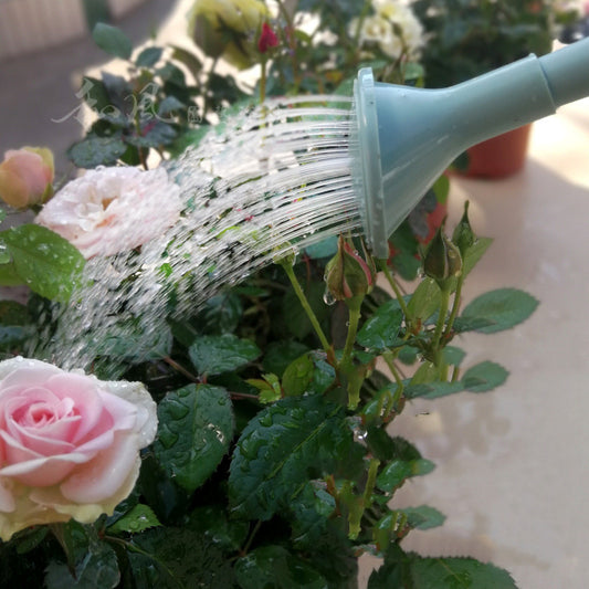 Plant Watering Can