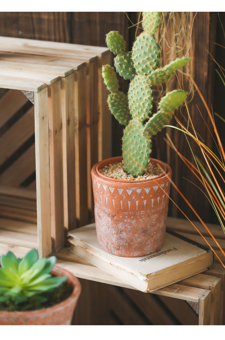 Vintage Terracotta Pots