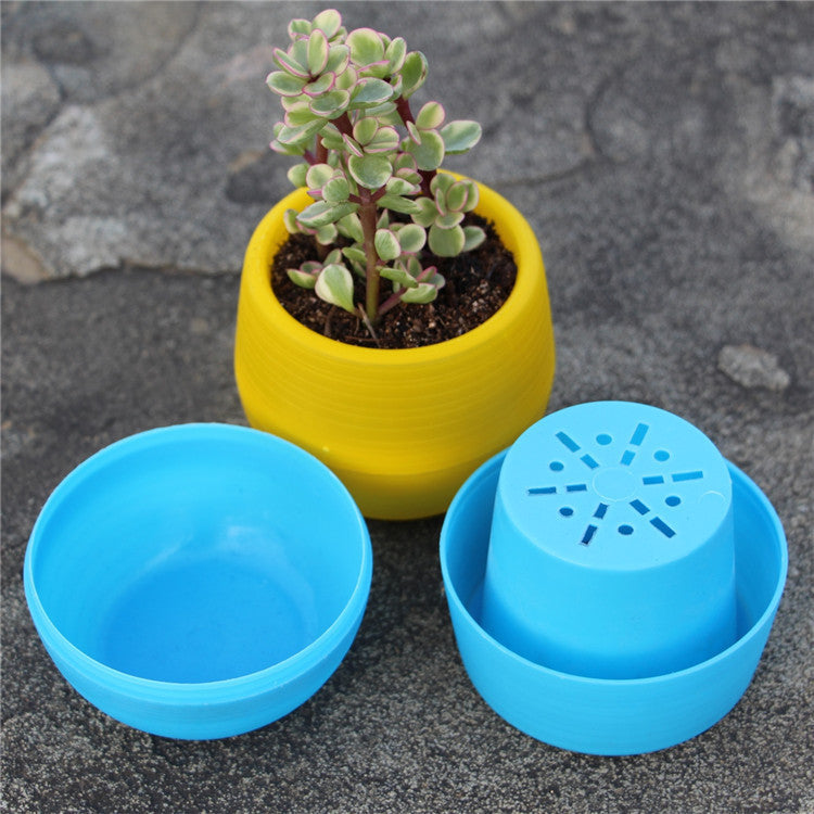Colorful Succulent Pot
