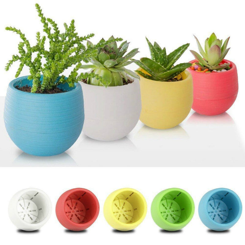 Colorful Succulent Pot