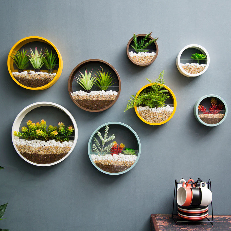 wall hanging glass planter Eco-Friendly Circular Wall-Mounted Planters White / 25cm