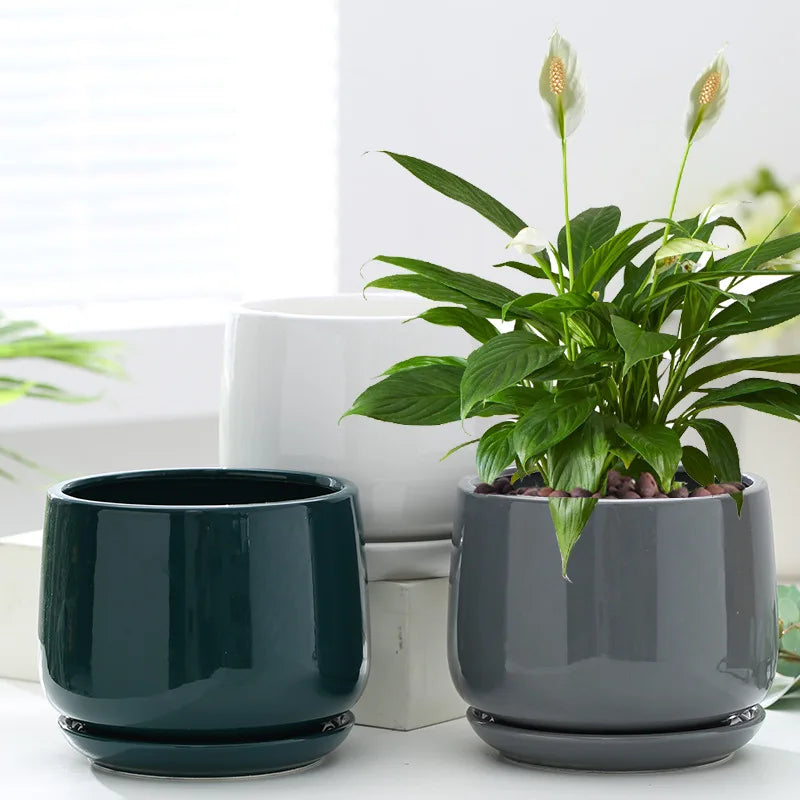 glazed ceramic indoor plant pots Ceramic Glazed Simple Pot – Everplant