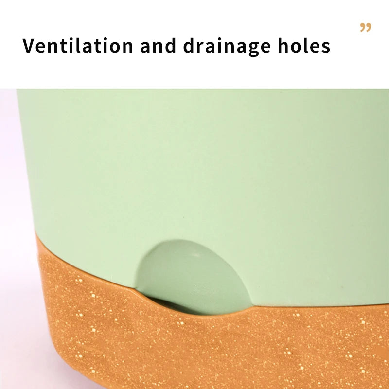 Planter with Drainage and Tray