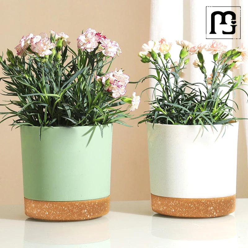 Planter with Drainage and Tray
