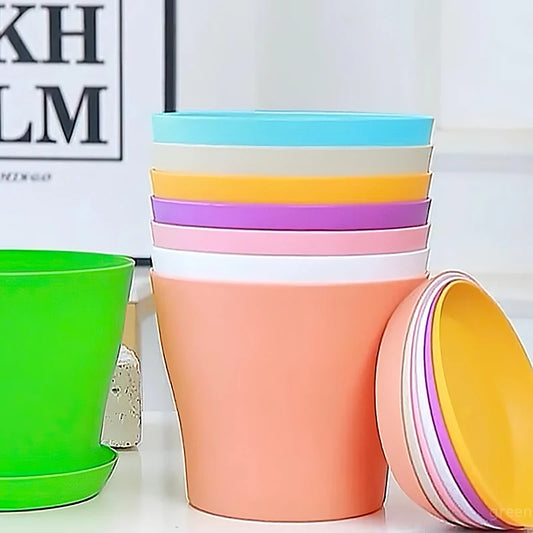 Colorful Flower Pot with Tray