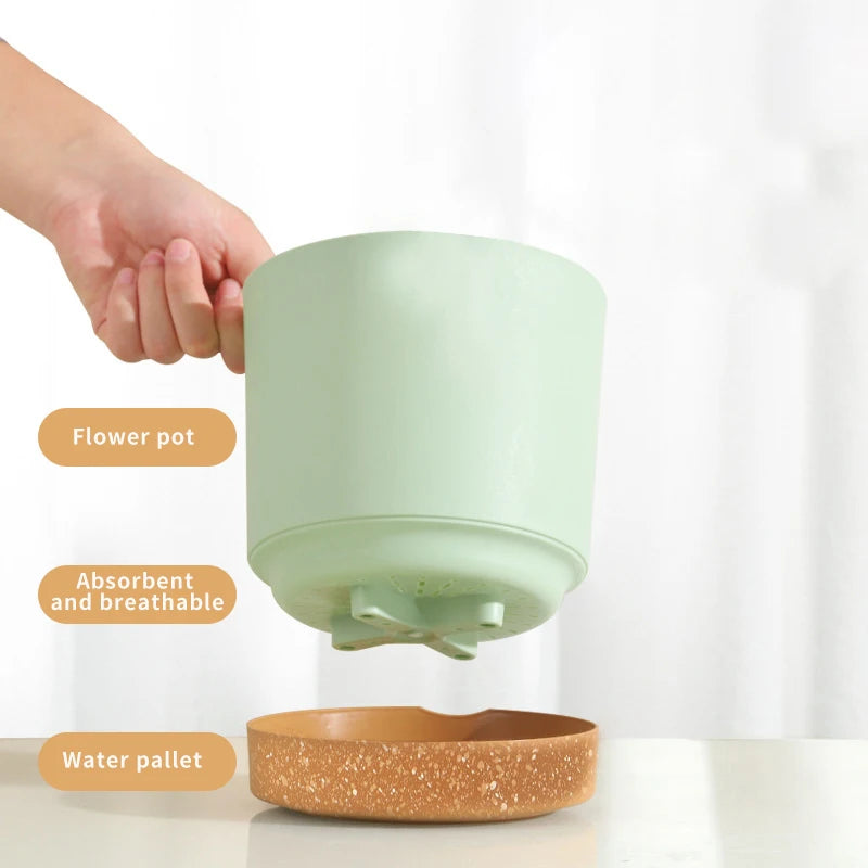 Planter with Drainage and Tray
