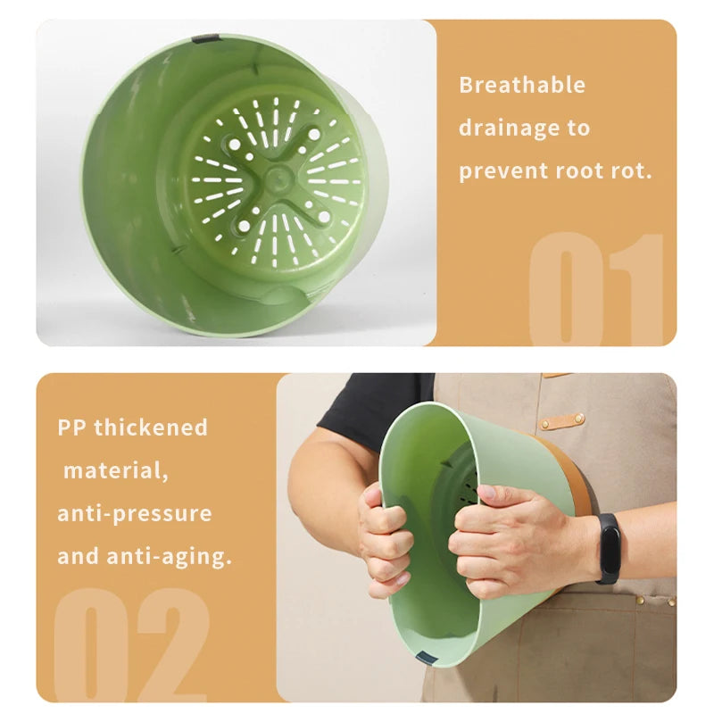 Planter with Drainage and Tray