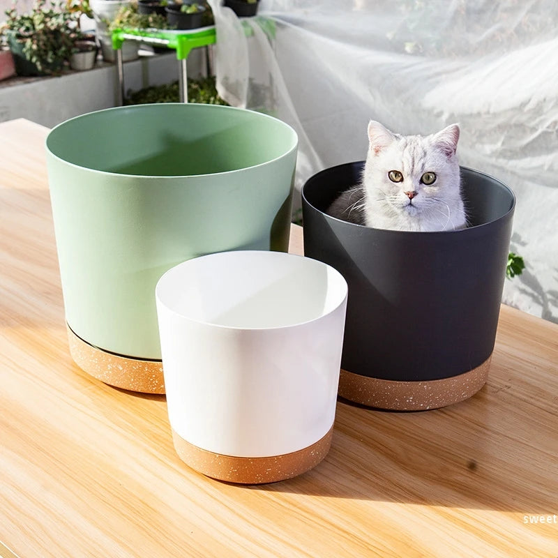Planter with Drainage and Tray