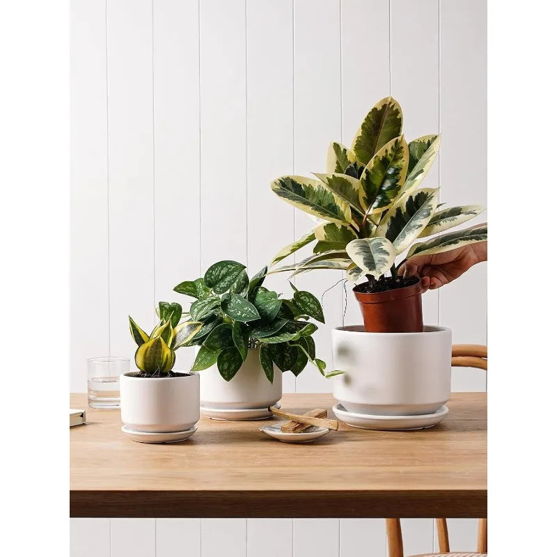 plant pots with drainage holes and saucer Set of 3 Ceramic Planters with Drainage Hole and Saucer – Everplant