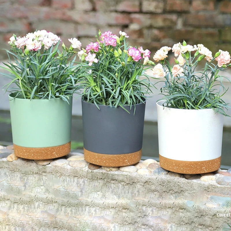 Planter with Drainage and Tray
