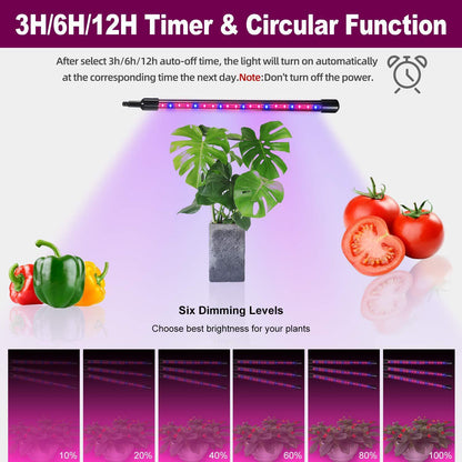 Plant Growth Light With Set Timing And Dimming