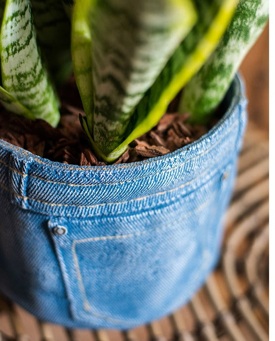 pants pot for plants Jeans Pot – Everplant
