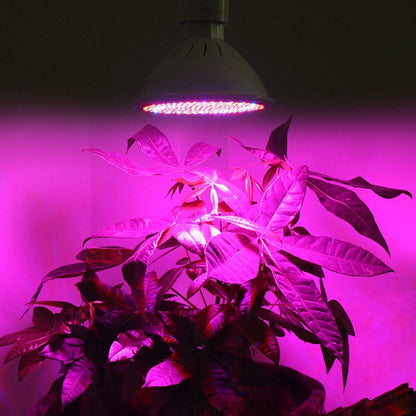 Plant Grow Lamp