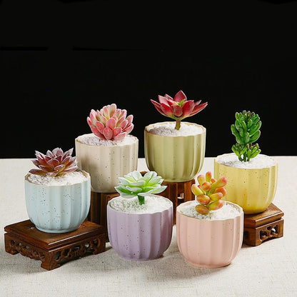 Ceramic Pot Set for Succulents