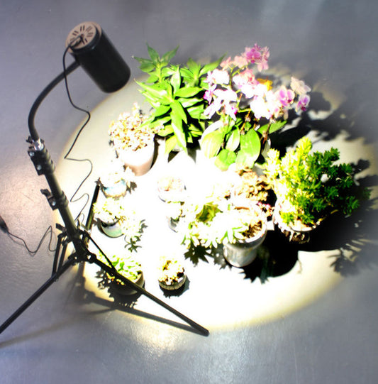 Plant Growth Lamp With Tripod