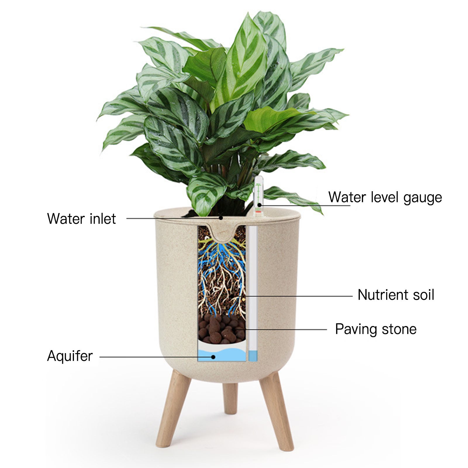 indoor plant waterers Self-Watering Planter with Water Level Indicator – Everplant