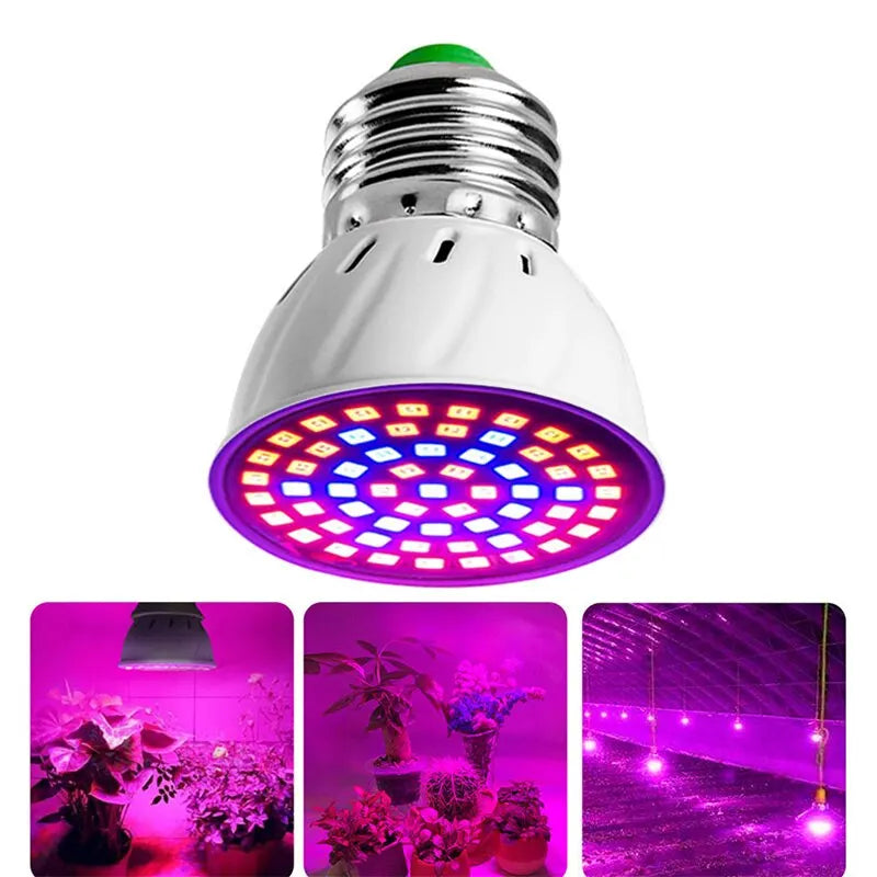 LED Plant Grow Light Full Spectrum + Red and Blue Light