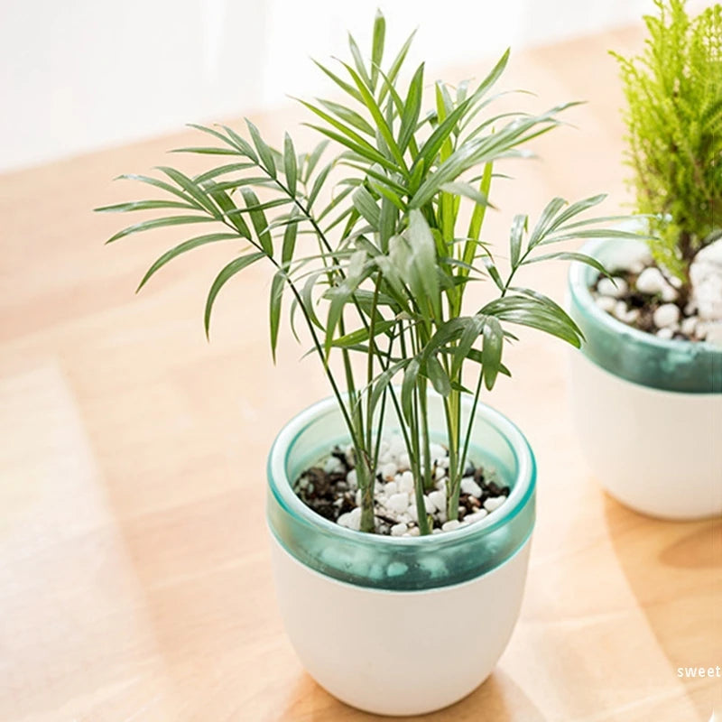 Water Absorbing Planters