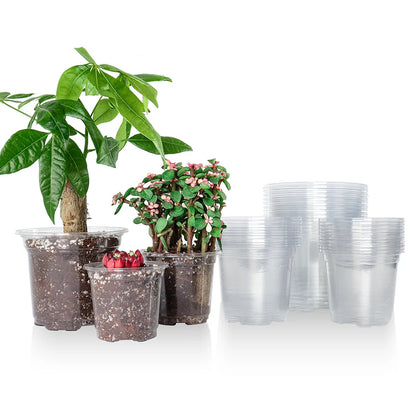 30 inch pots for plants 30 Pack 3.5/4/5 Inch Clear Nursery Pots – Everplant