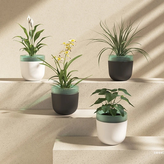 Water Absorbing Planters