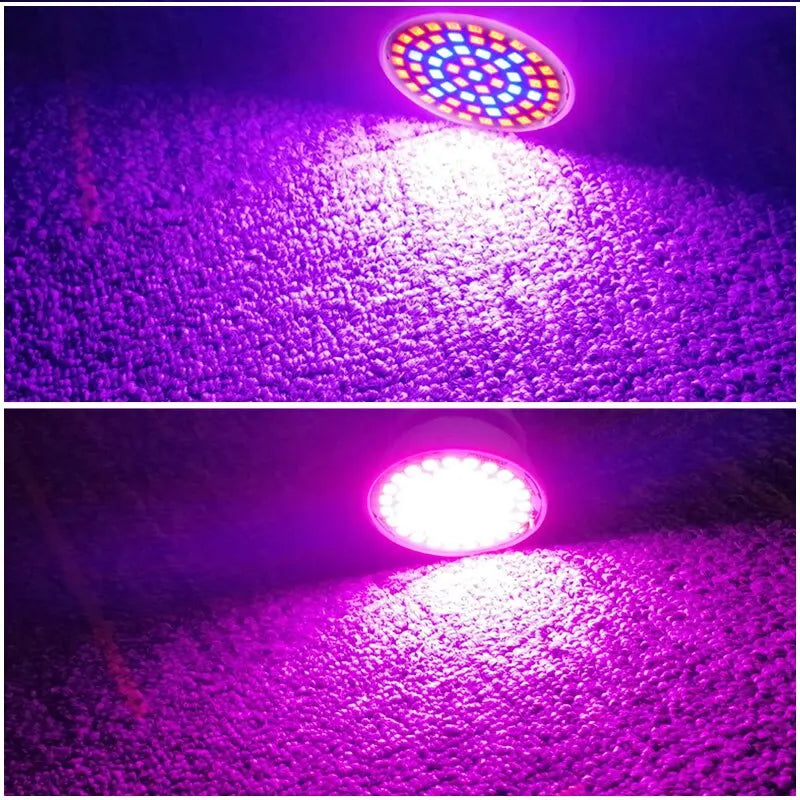 LED Plant Grow Light Full Spectrum + Red and Blue Light