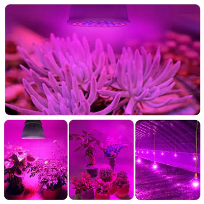 LED Plant Grow Light Full Spectrum + Red and Blue Light