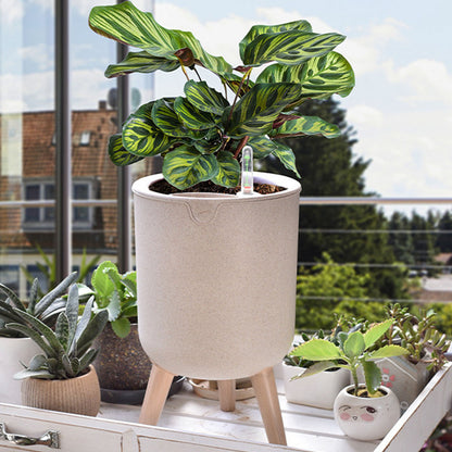 plant pot leveler Self-Watering Planter with Water Level Indicator