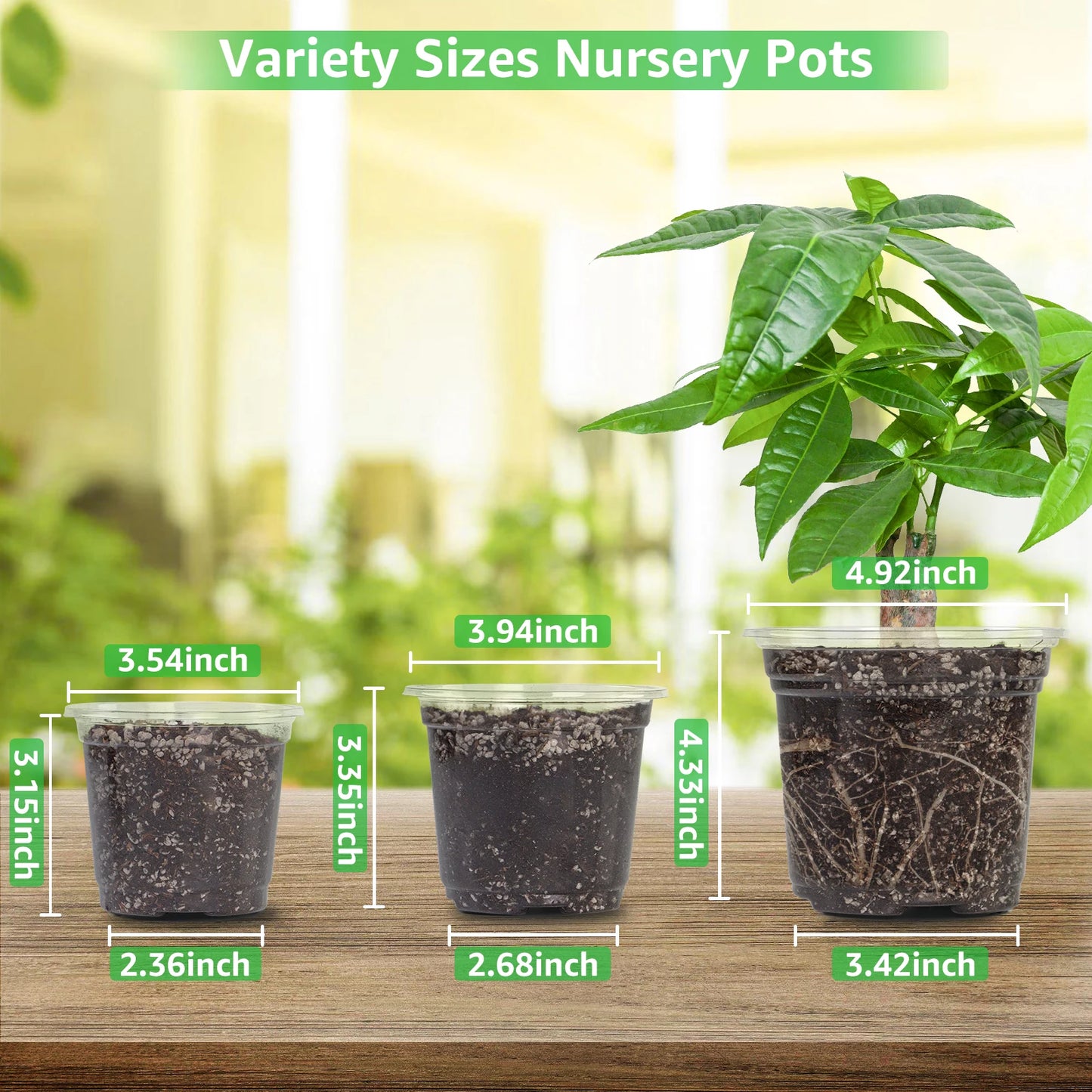 30 Pack 3.5/4/5 Inch Clear Nursery Pots