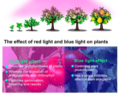 LED Plant Grow Light Full Spectrum + Red and Blue Light