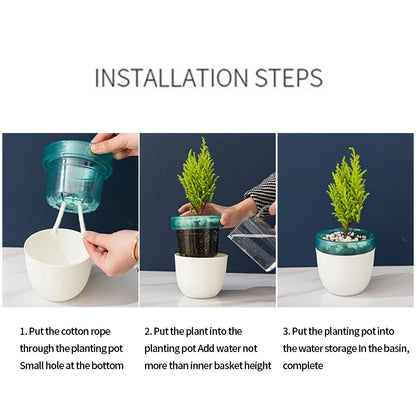 Water Absorbing Planters