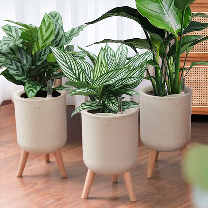 house plant water indicator Self-Watering Planter with Water Level Indicator – Everplant