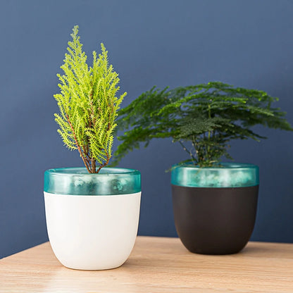 Water Absorbing Planters