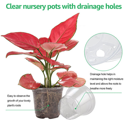 30 Pack 3.5/4/5 Inch Clear Nursery Pots