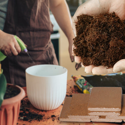 Coconut Brick Nutrient Soil