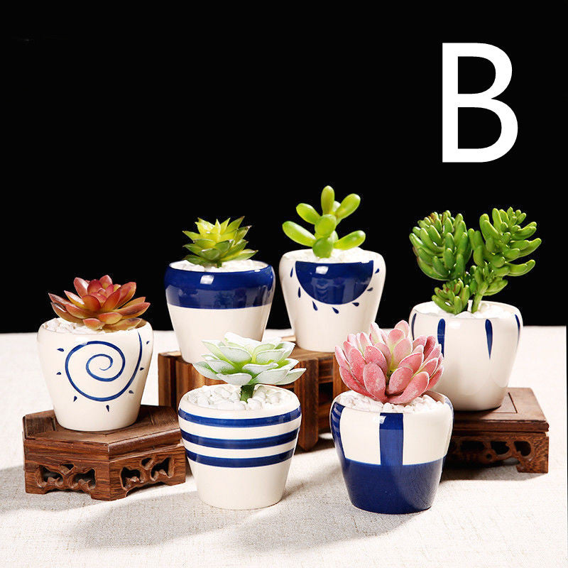 Ceramic Pot Set for Succulents