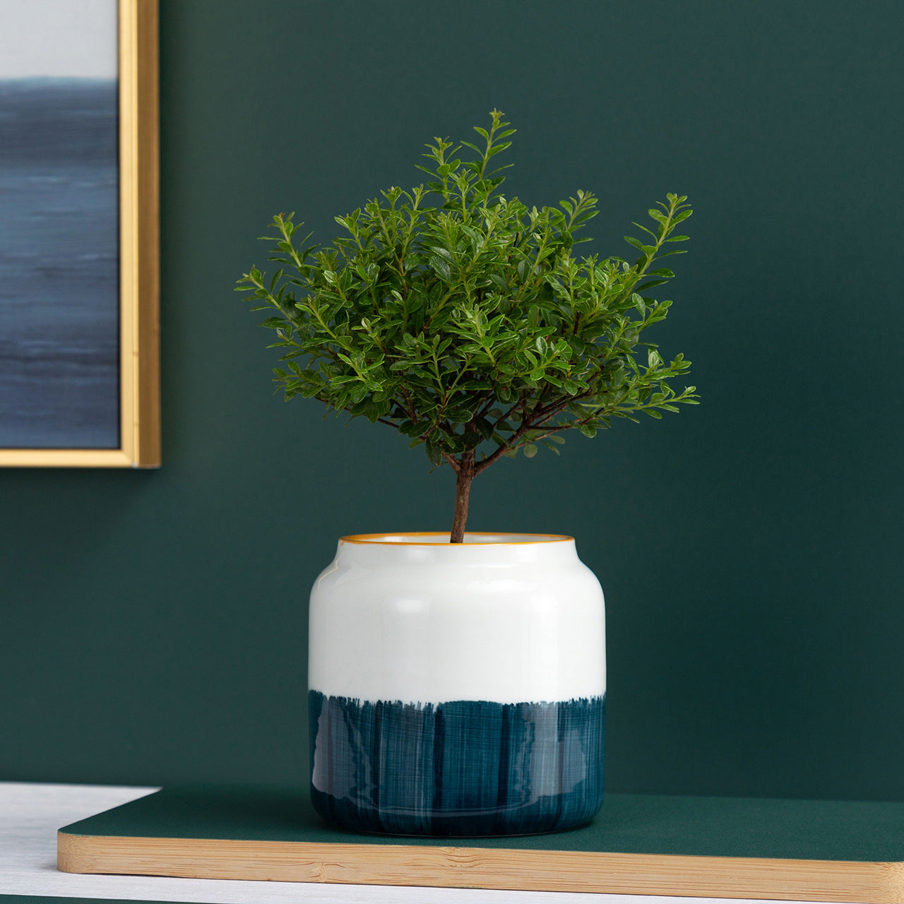 hand painted indoor plant pots Simple Hand-painted Ceramic Pot – Everplant